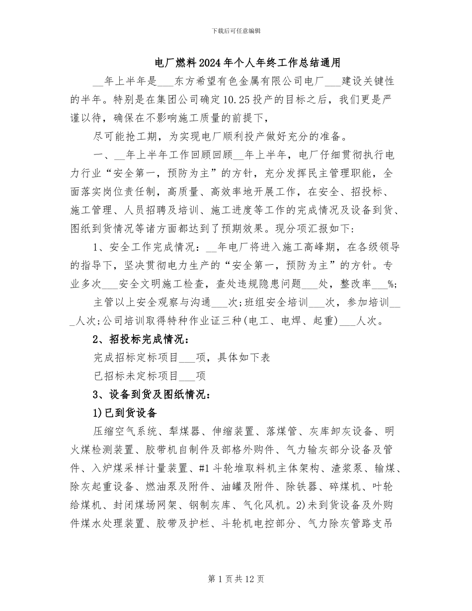 电厂燃料2024年个人年终工作总结通用_第1页