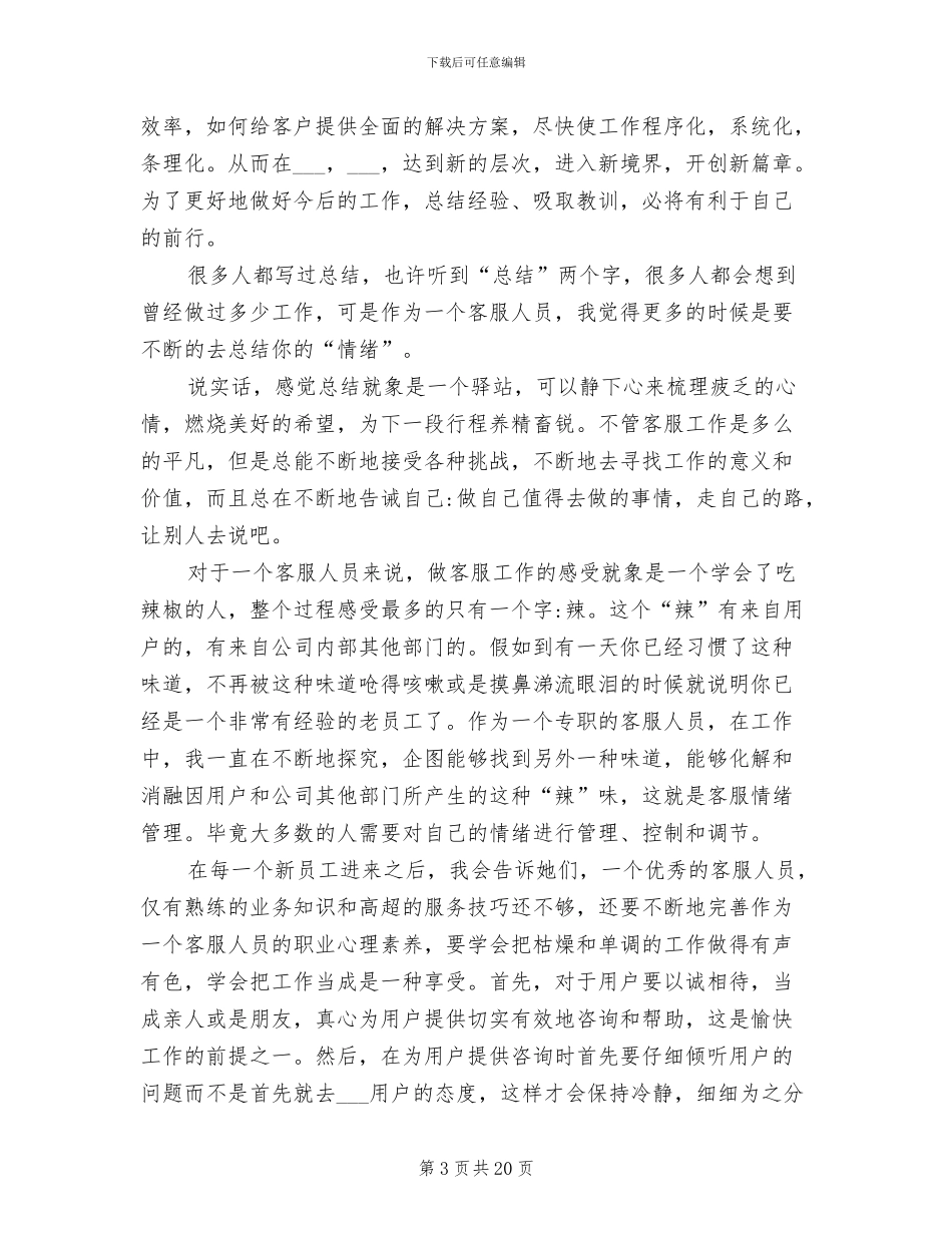 电商客服2024年终总结_第3页