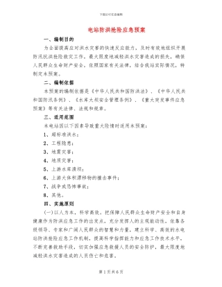 电站防洪抢险应急预案