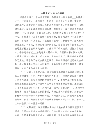 盗版局2024年工作总结