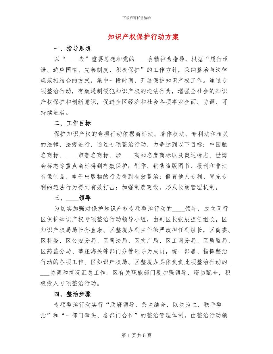 知识产权保护行动方案_第1页