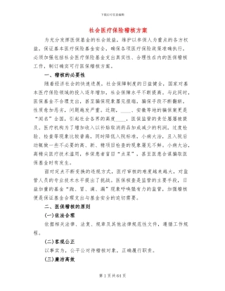 社会医疗保险稽核方案