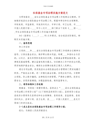 社保基金专项治理实施方案范文
