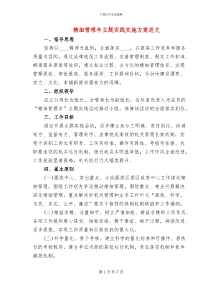 精细管理年主题实践实施方案范文