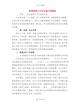 组建招商小分队实施方案模板(3篇)