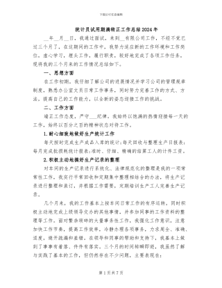 统计员试用期满转正工作总结2024年