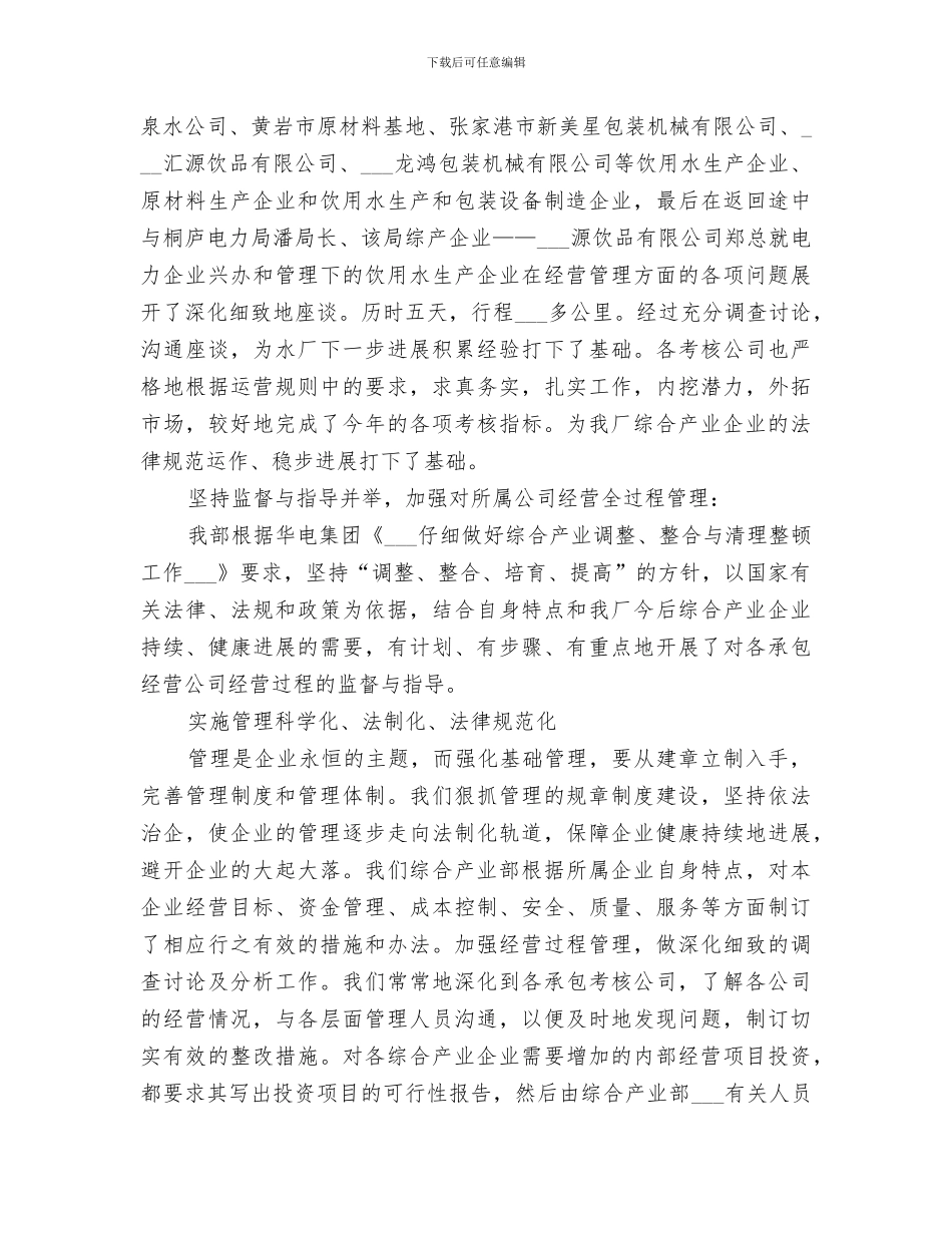 综合产业部2024年度工作总结_第2页