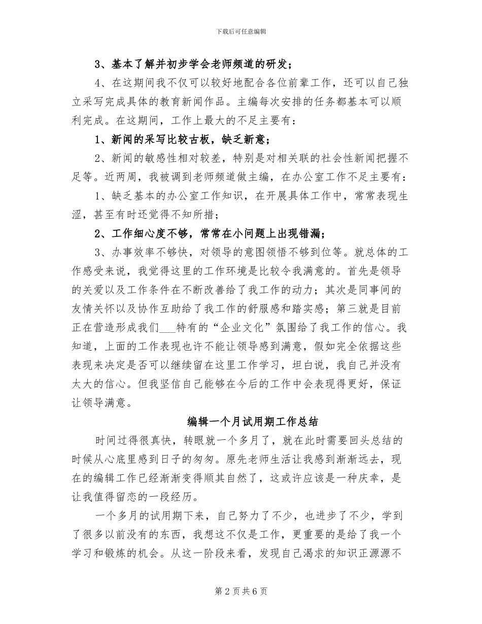 编辑2024试用期工作总结_第2页