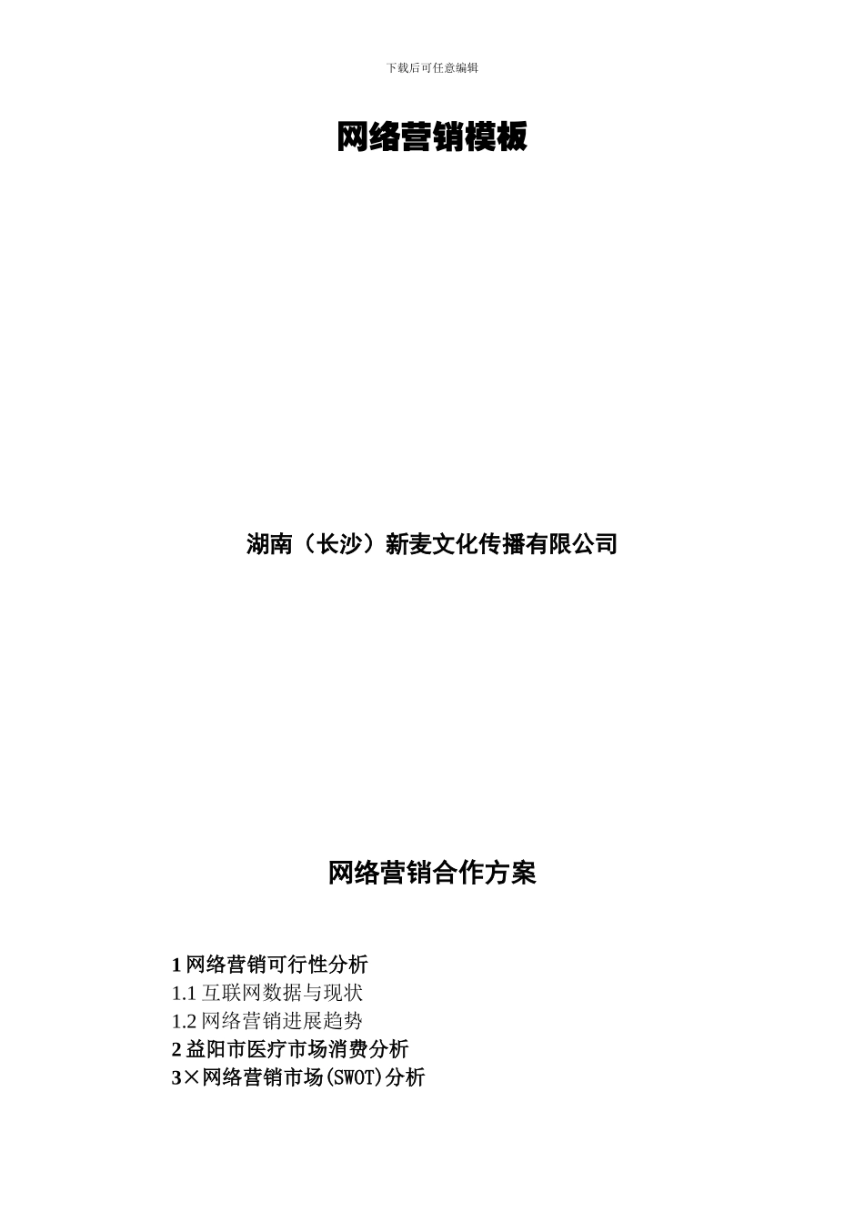 网络营销方案模板_第1页