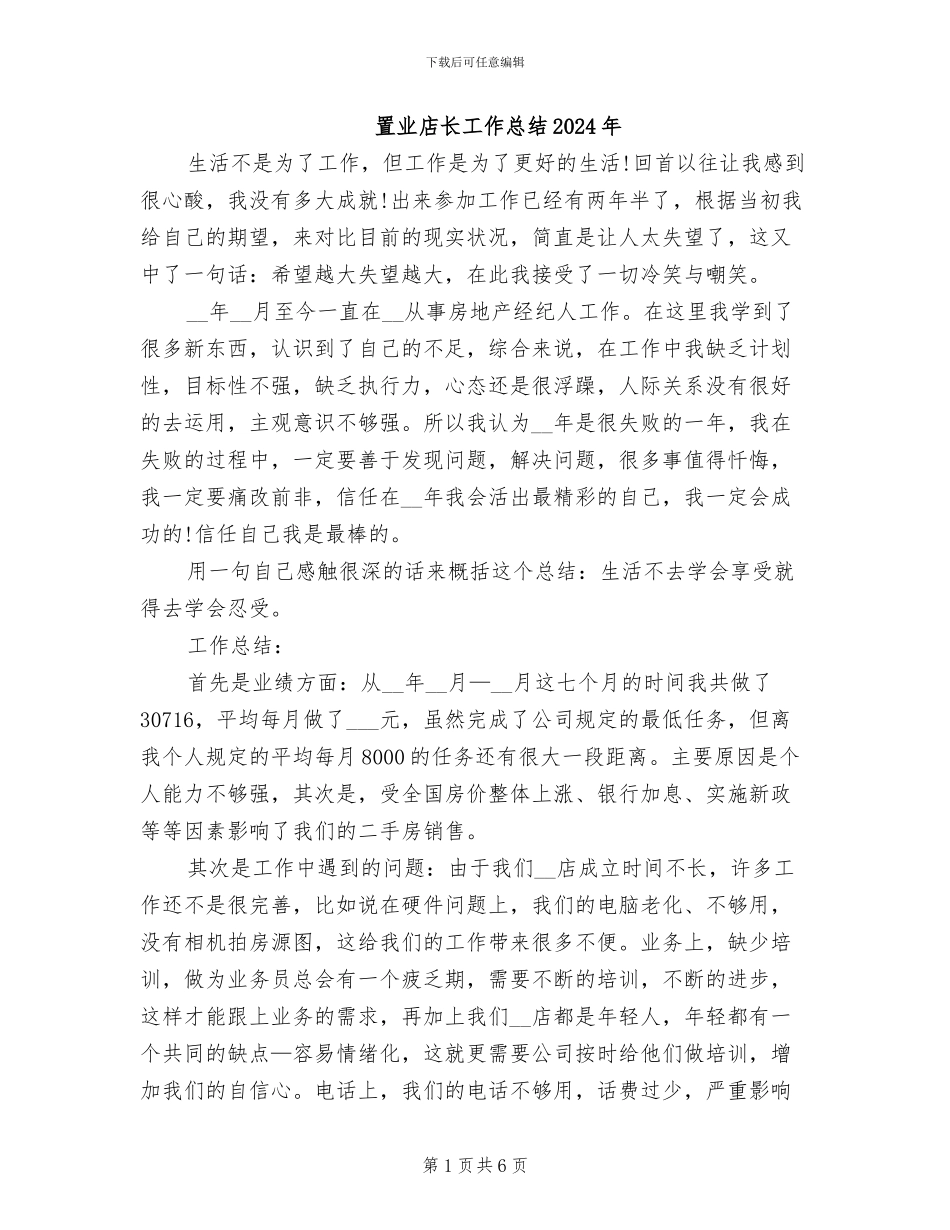 置业店长工作总结2024年_第1页