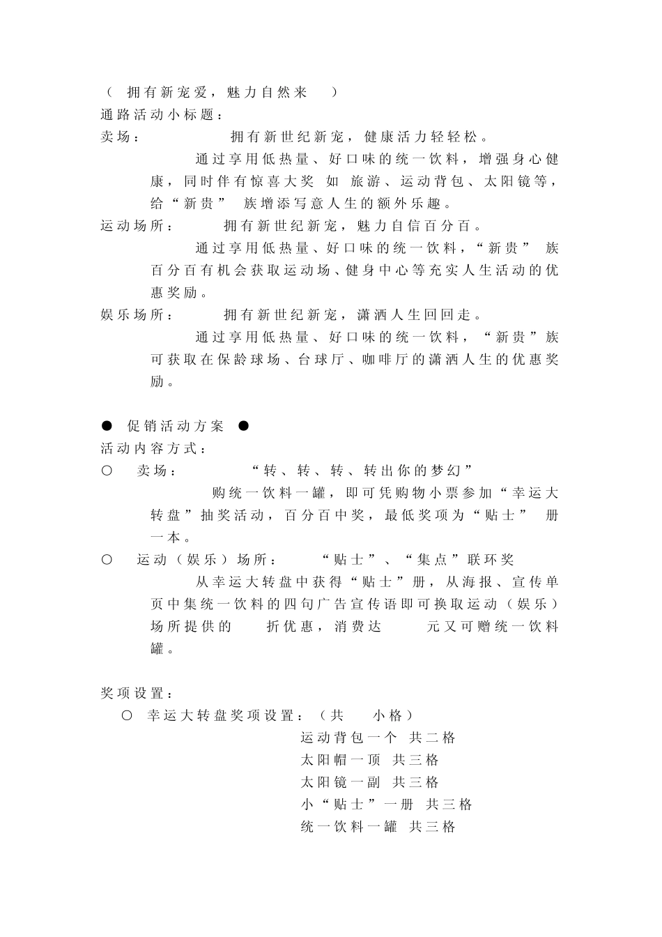 促销策略及预算_第3页