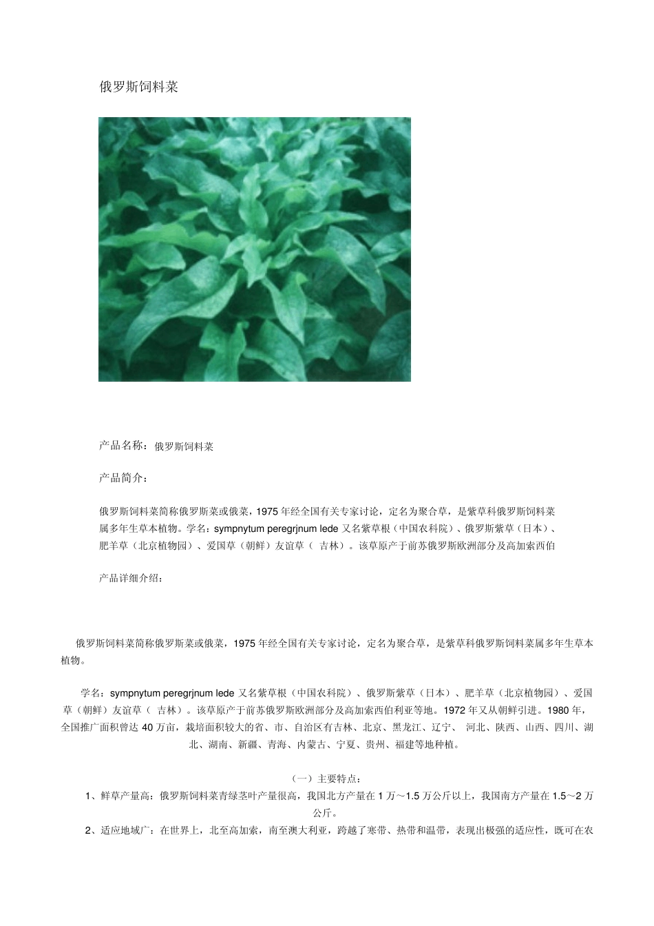 俄罗斯饲料菜_第1页