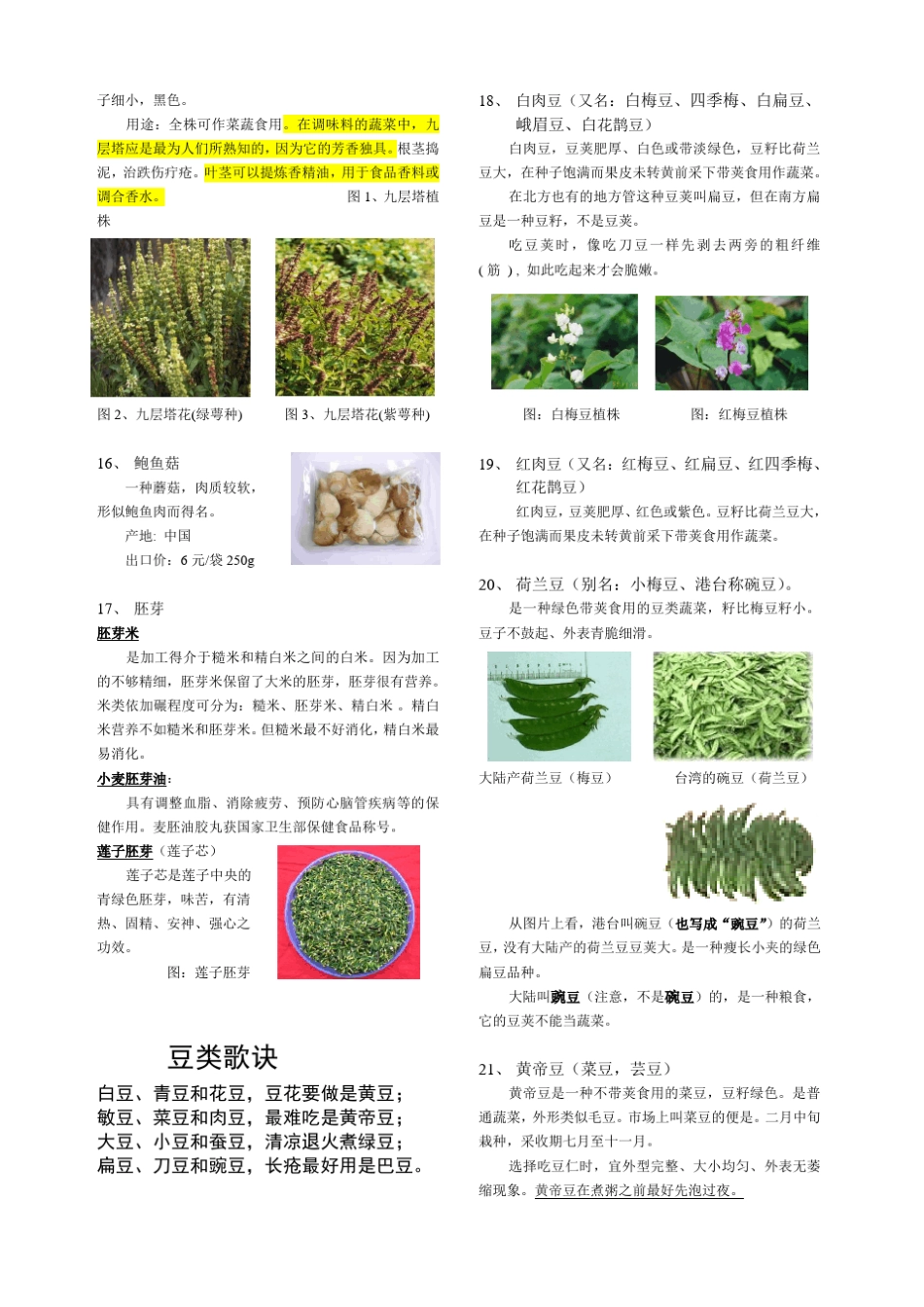 保健蔬菜南北方别名_第3页