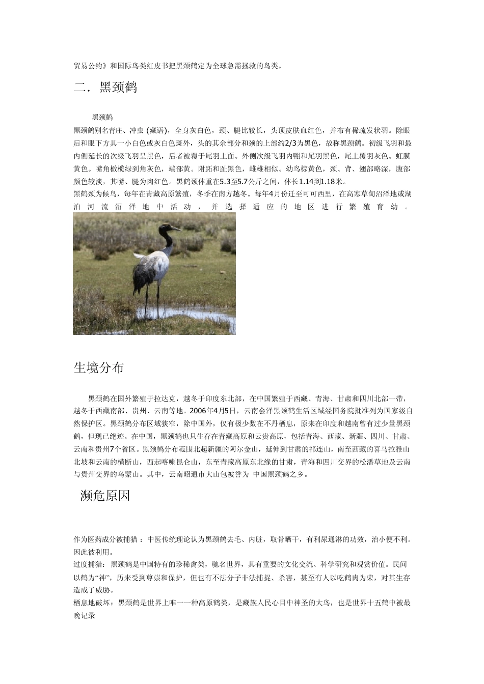 保护动物(鸟类)_第2页