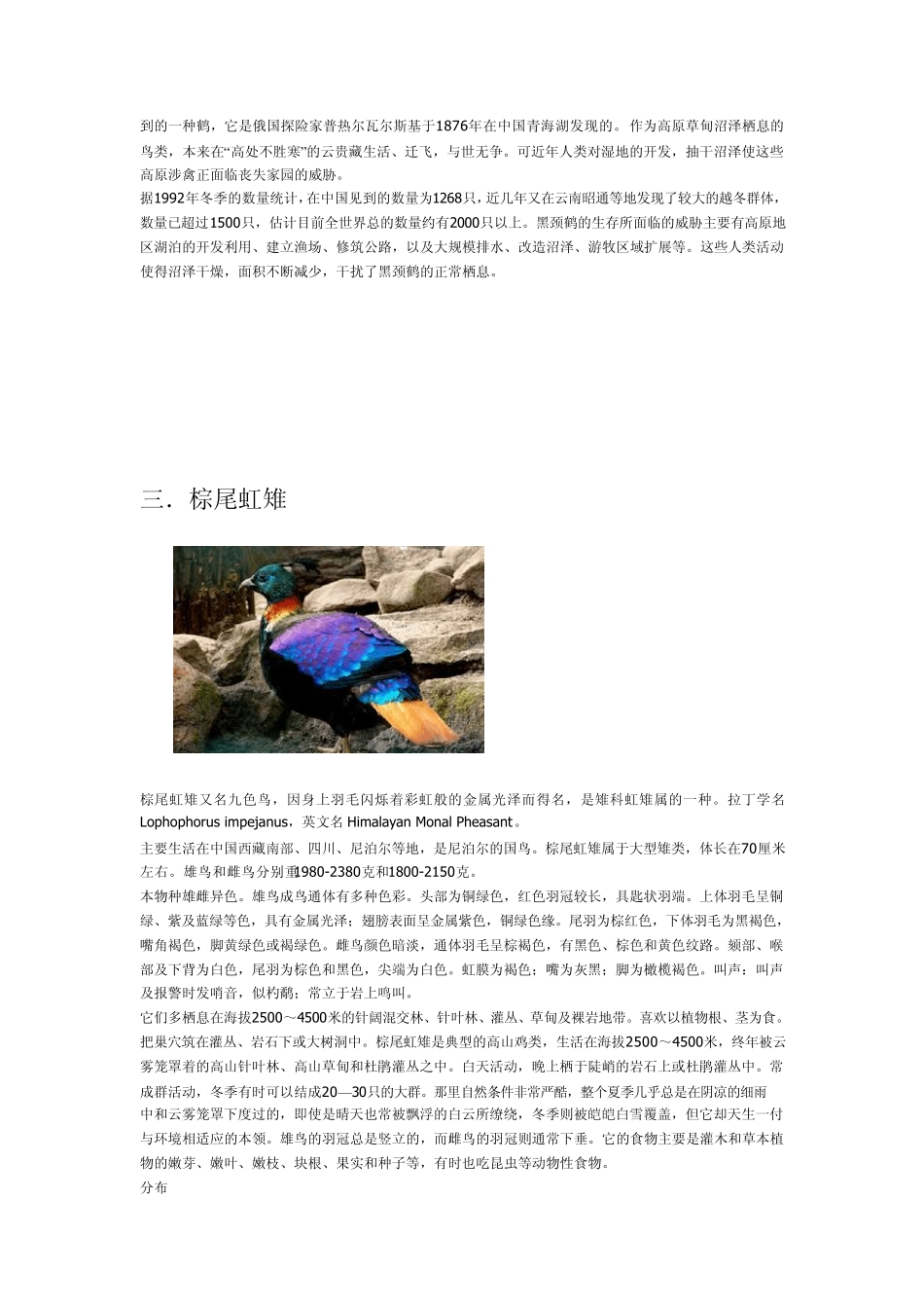 保护动物(鸟类)_第3页