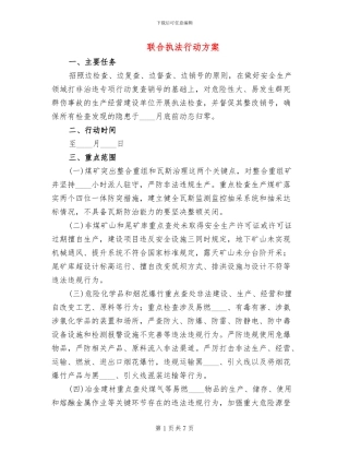 联合执法行动方案