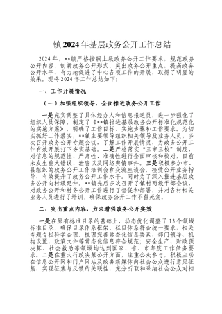 镇2024年基层政务公开工作总结