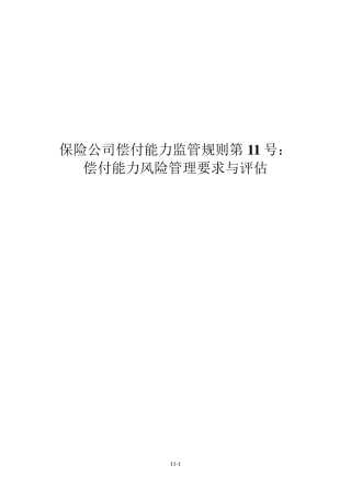 保险公司偿付能力监管规则第11号：偿付能力风险管理要求与评估