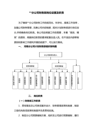 保险公司分公司财务岗位职责