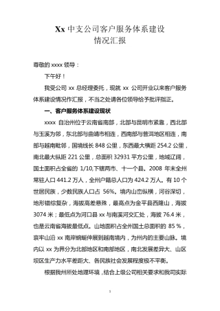 保险公司客户服务体系建设情况汇报