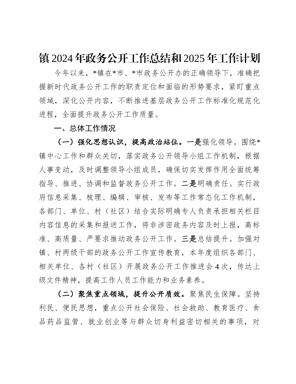 镇2024年政务公开工作总结和2025年工作计划_第1页