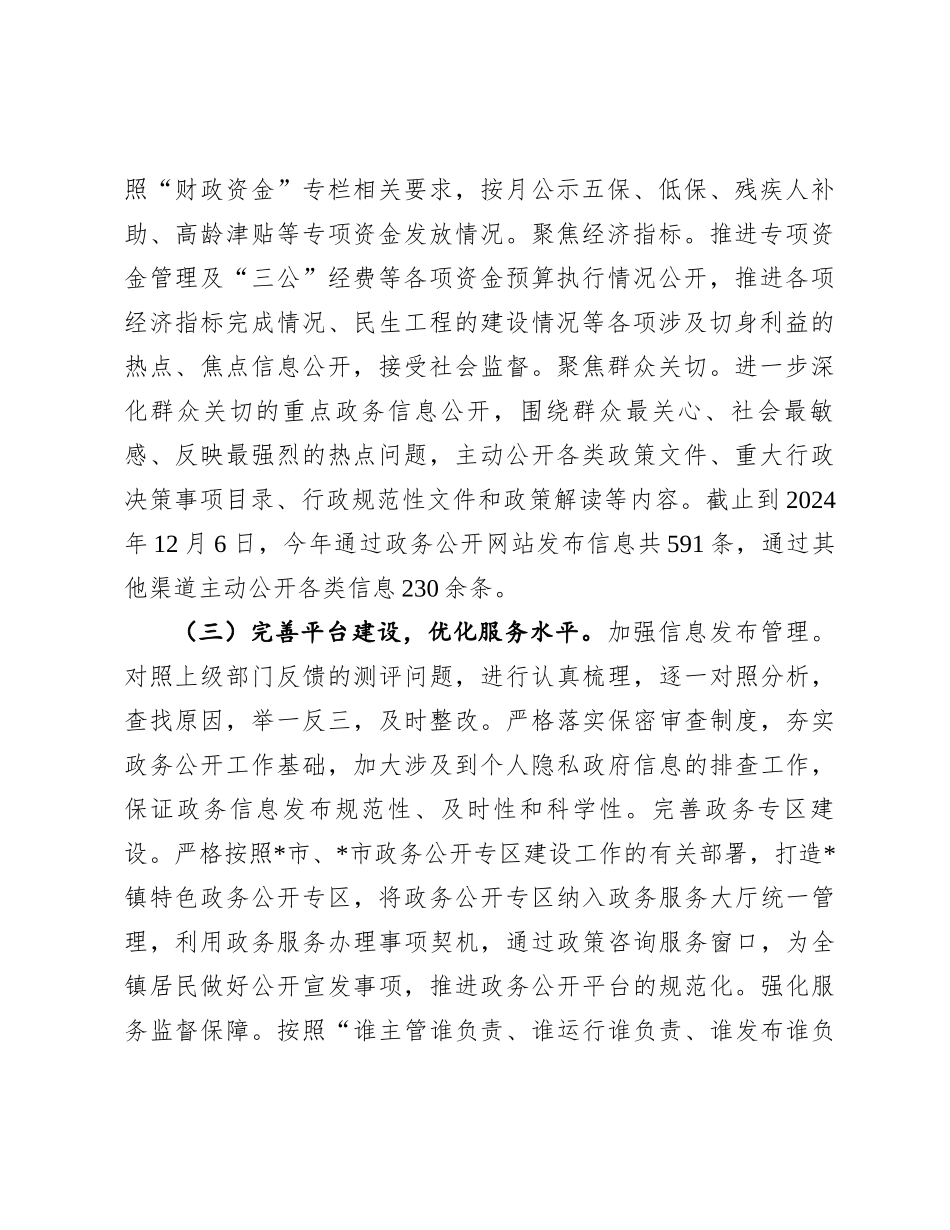 镇2024年政务公开工作总结和2025年工作计划_第2页