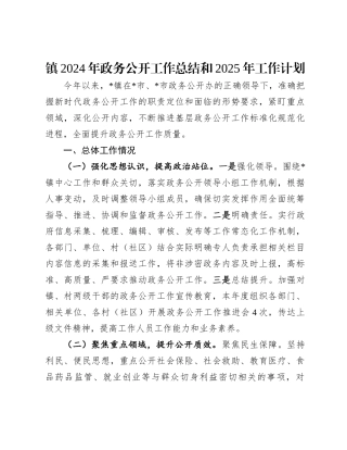镇2024年政务公开工作总结和2025年工作计划