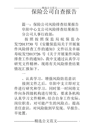 保险公司自查报告