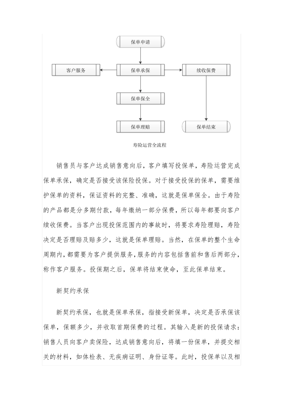 保险公司运营业务流程模型_第2页