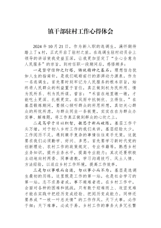 镇干部驻村工作心得体会