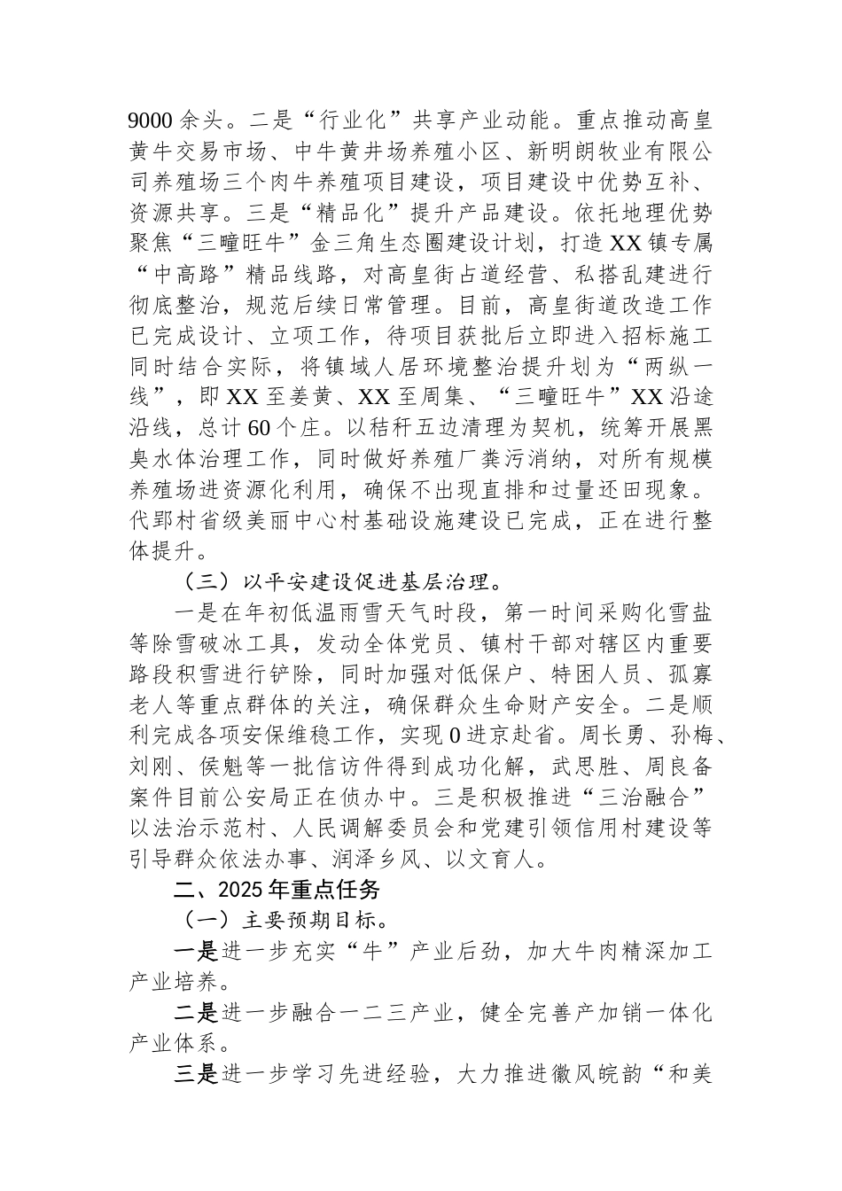 镇人民政府2024年工作总结_第2页