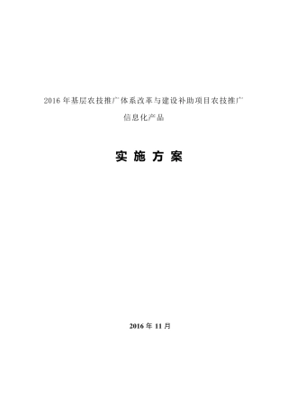 信息化项目实施方案计划
