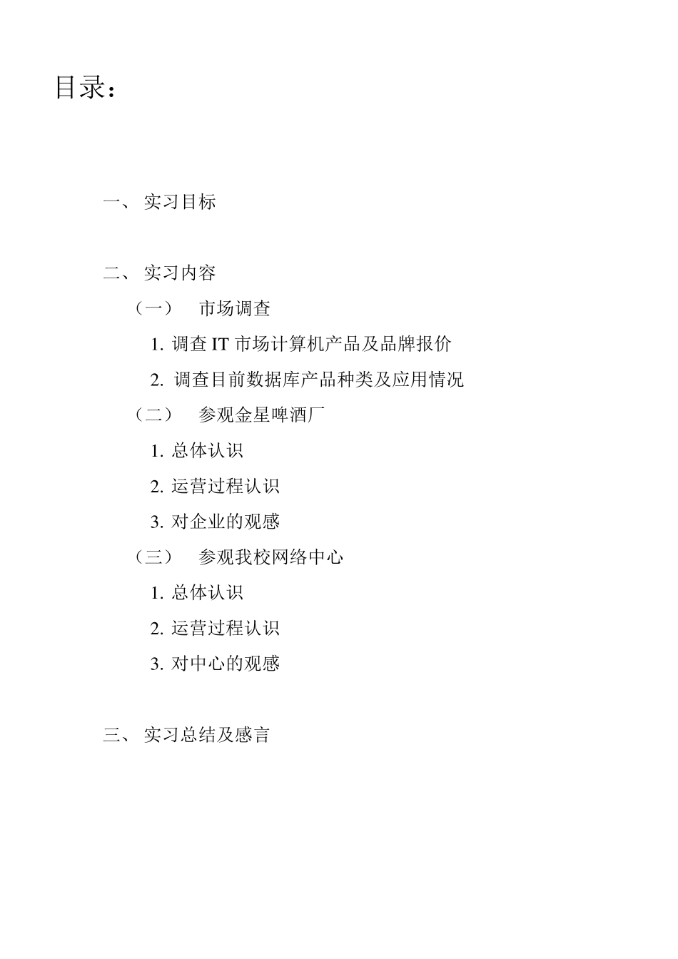 信息管理与信息系统专业实习报告_第2页