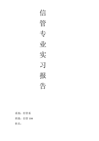信息管理与信息系统专业实习报告