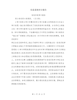 信息系统审计报告