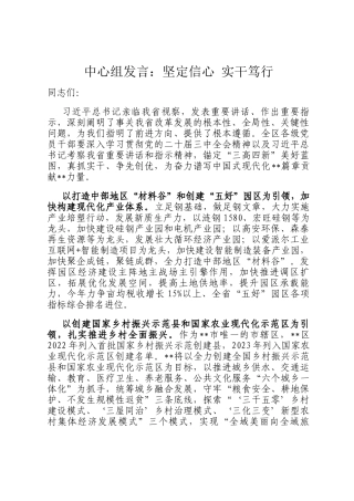 中心组发言：坚定信心 实干笃行