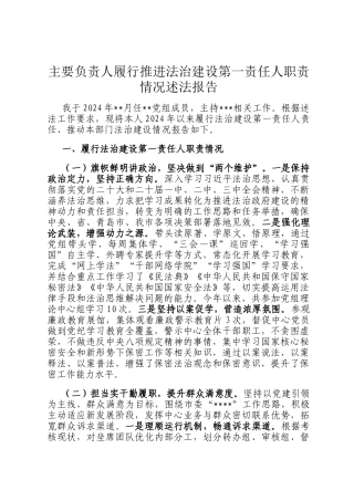 主要负责人履行推进法治建设第一责任人职责情况述法报告