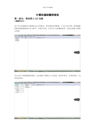 计算机辅助翻译报告