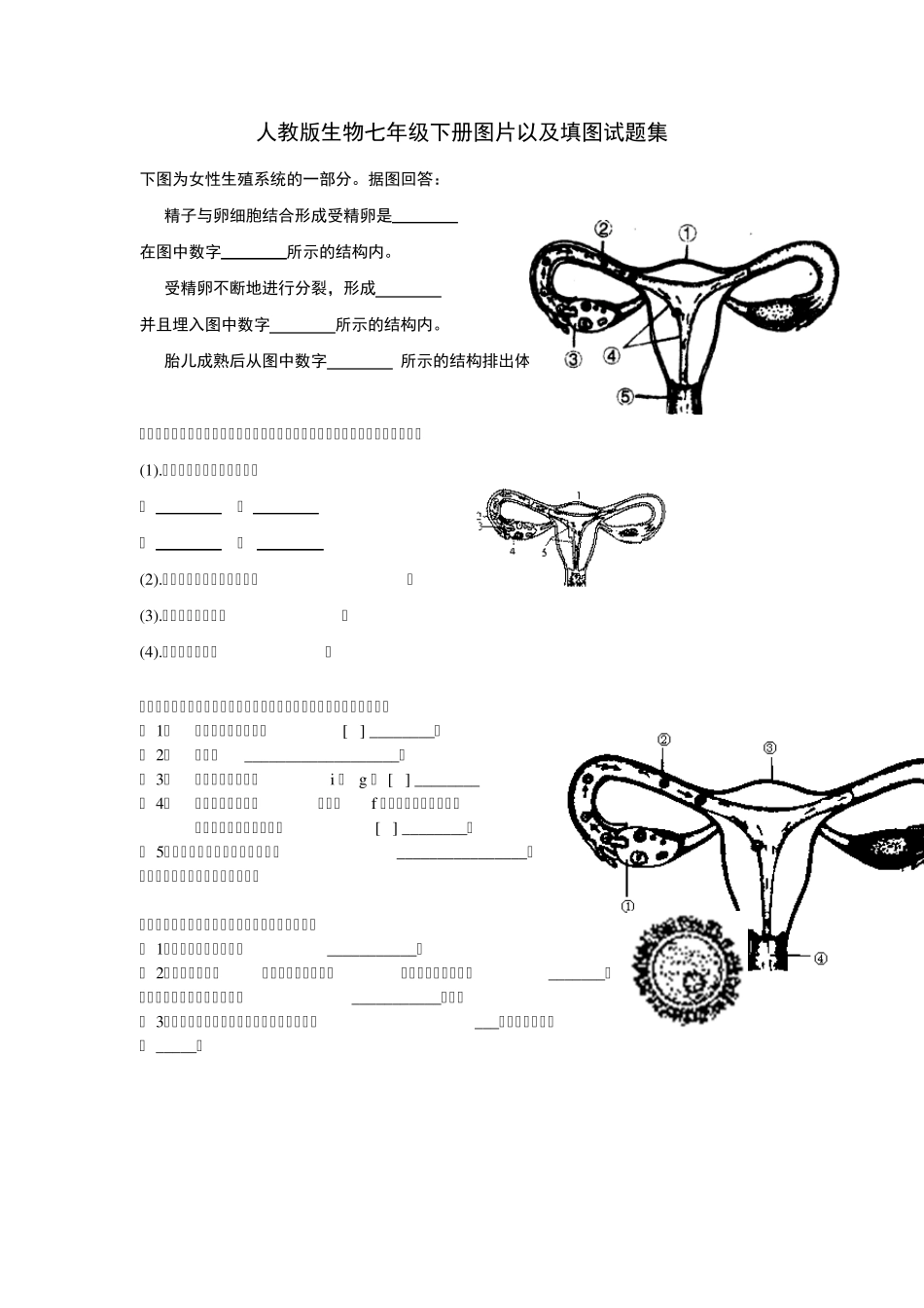 修正版人教版生物七年级下册图片以及填图试题集_第1页