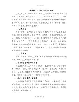 试用期工作小结2024年优秀例