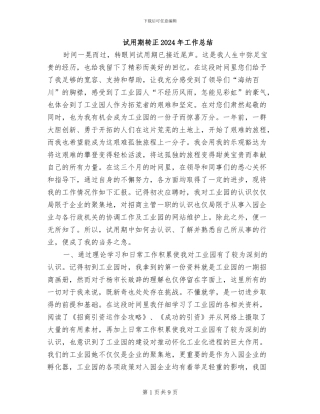 试用期转正2024年工作总结