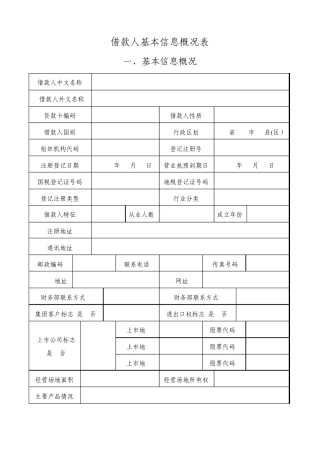 借款人基本信息概况表