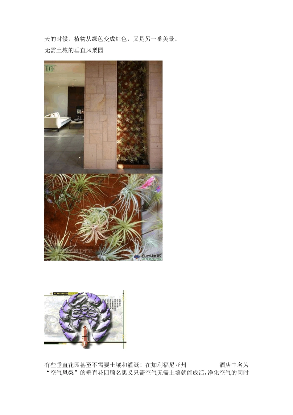 值得推荐的几个垂直绿化成功案例_第2页
