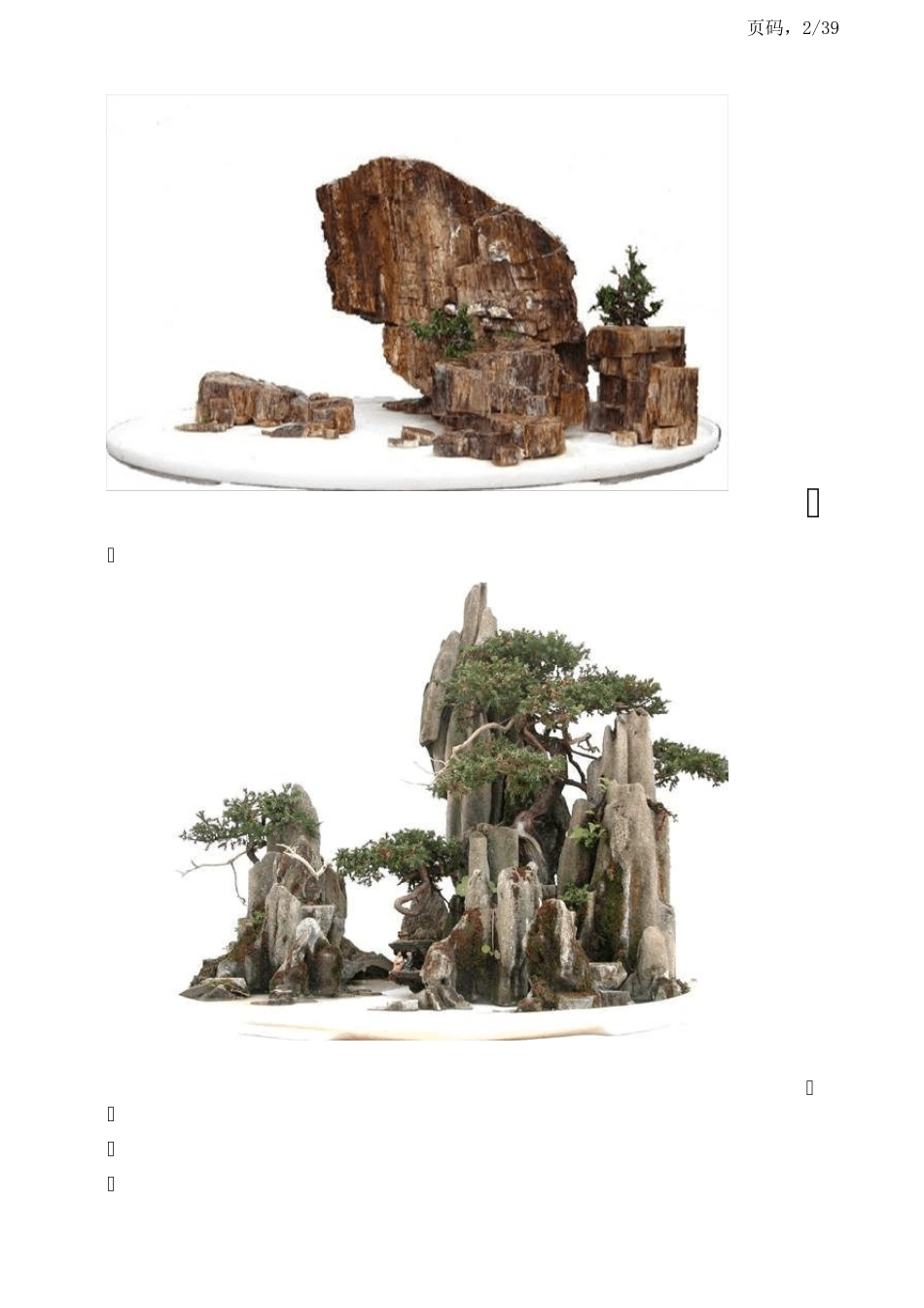 假山盆景和奇石艺术欣赏_第2页