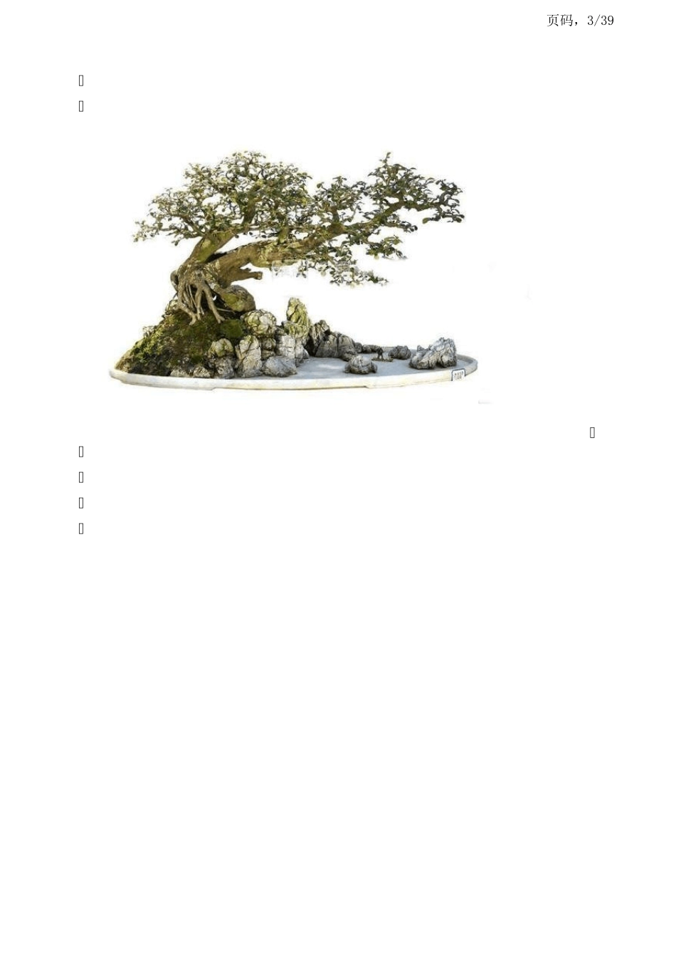 假山盆景和奇石艺术欣赏_第3页