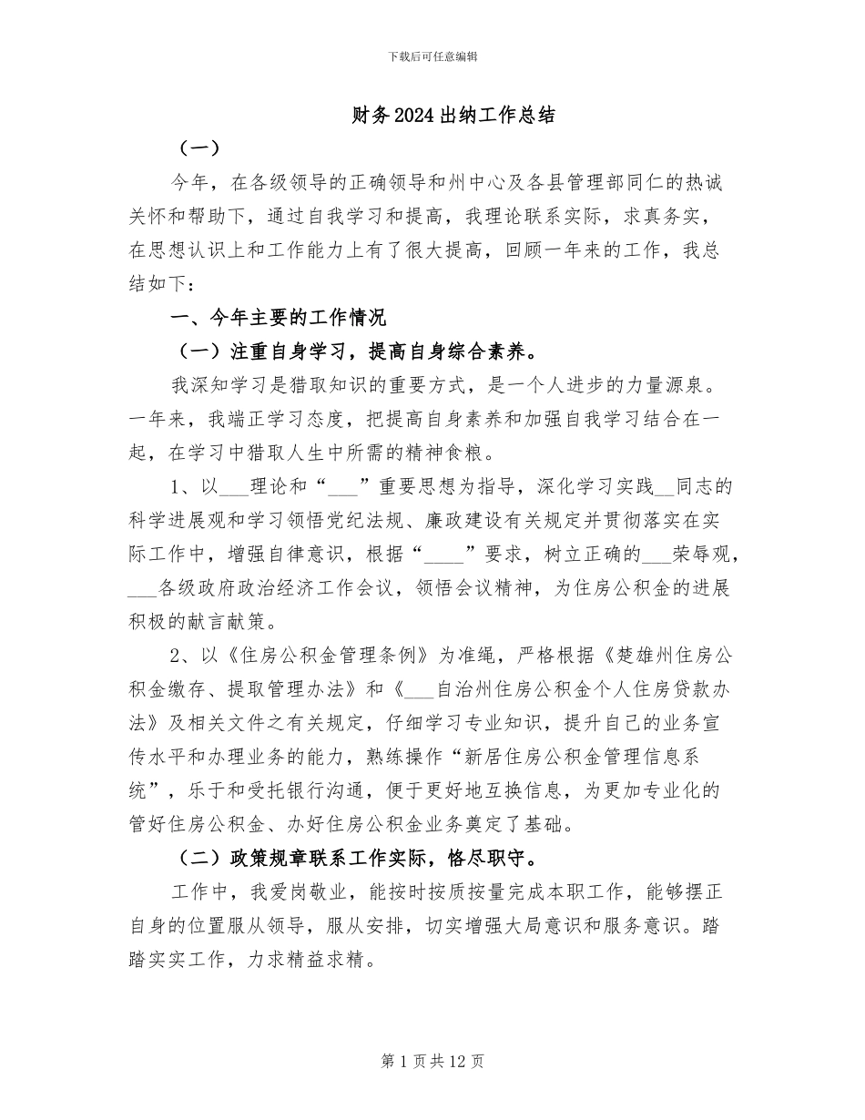 财务2024出纳工作总结_第1页