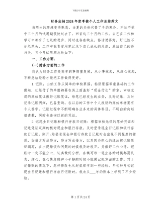 财务出纳2024年度考核个人工作总结范文