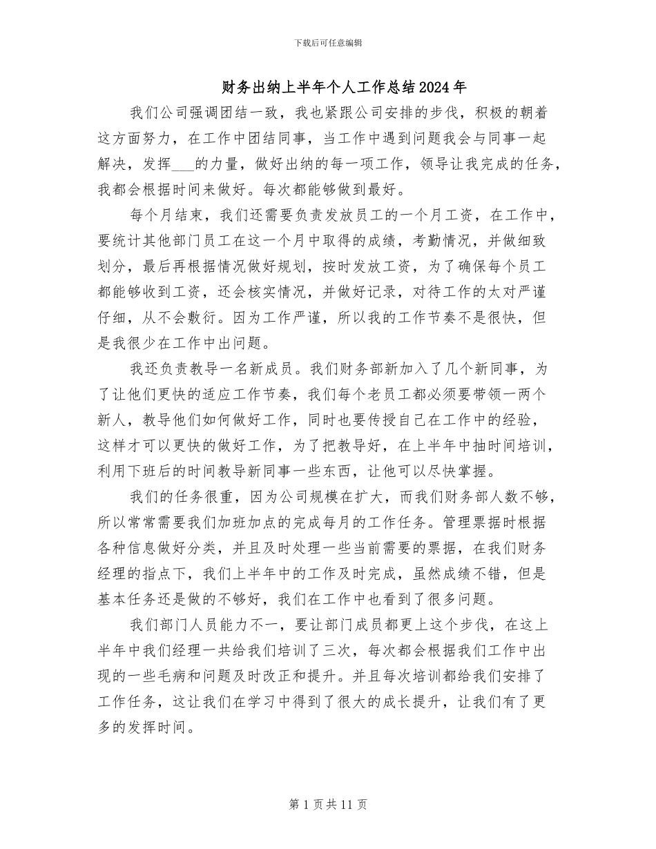 财务出纳上半年个人工作总结2024年_第1页