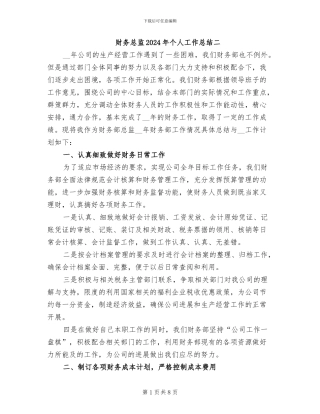 财务总监2024年个人工作总结二