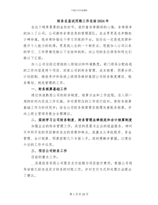财务总监试用期工作总结2024年